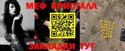прущие грибы Гатчина