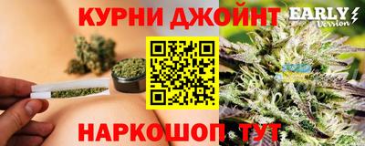 спиды Гагарин