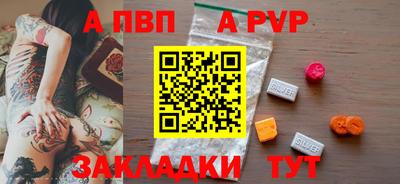 прущие грибы Гатчина