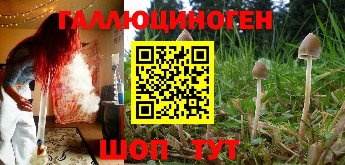 Батайск  закладка  Вход с VPN  Галлюциногенные грибы Cubensis 